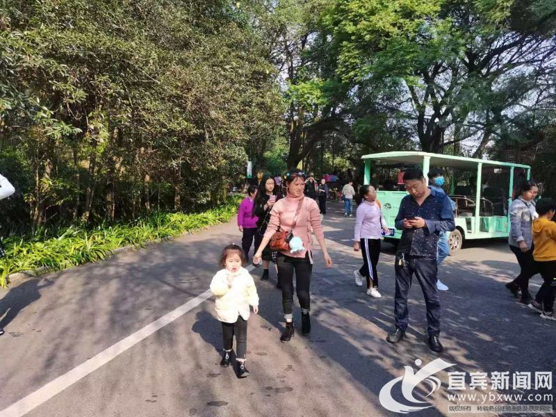 市民在翠屏山上玩耍。(宜宾新闻网 杨万洪 摄)