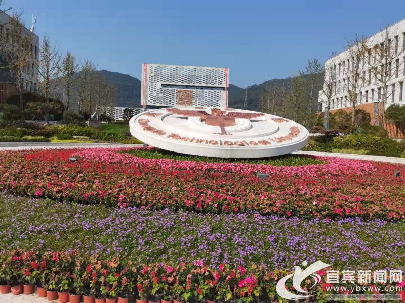 阳光下的大学校园。(宜宾新闻网 杨万洪 摄)