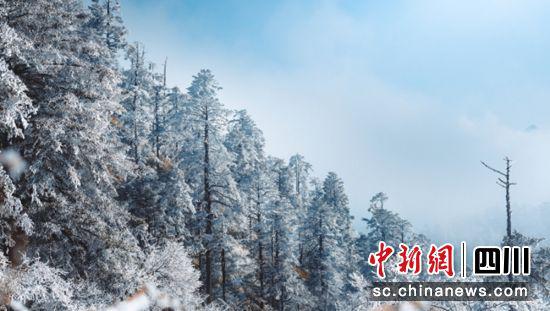 景区雪景(天全县委宣传部 供图)