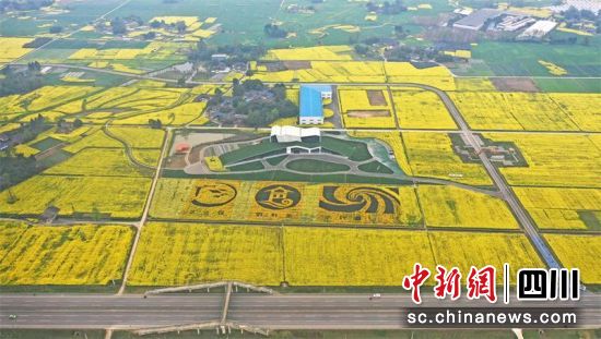 位于大邑县苏家镇永兴村的大邑县粮经产业的核心区域。