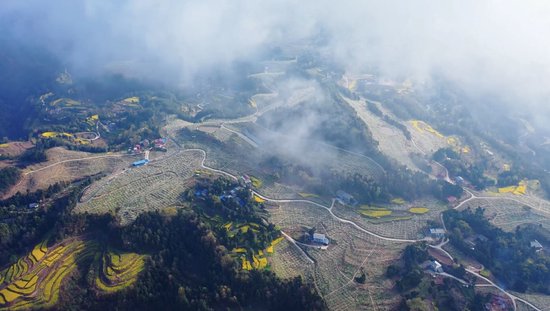 俯瞰基地