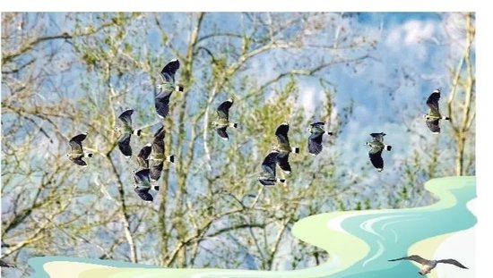 雅安积极探索城市生物多样性保护新模式