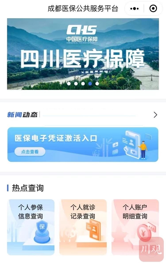 可办理少儿互助金参保登记的成都医保公共服务平台页面截图。