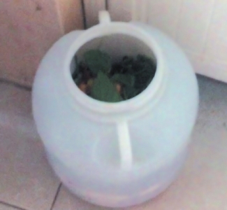 唐女士家的厨余垃圾桶
