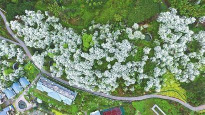 “乡村旅游+”推陈出新 四川全域旅游更多彩