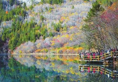 11月7日,九寨沟景区内艳阳高照,风景醉人。九寨沟景区于今年9月27日恢复开放85%的区域,震后“补妆”归来,美丽依旧。 新华社记者李梦馨摄