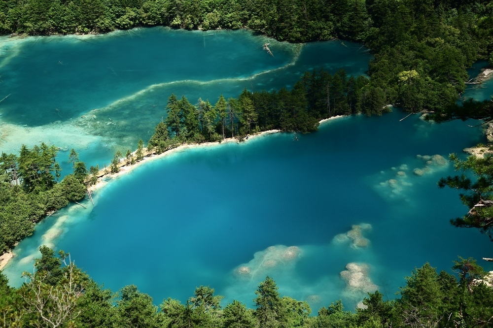 保育恢复后的火花海景点。九寨沟景区管理局供图
