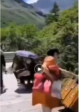 網絡視頻截圖