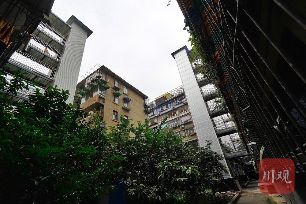 桂王橋東街4號院停滯的電梯工程