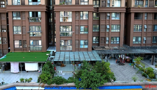 ▲违建的阳光棚