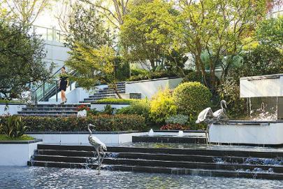 陆肖TOD景观示范区实景。