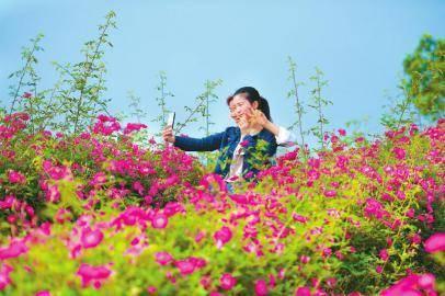 “乡村旅游+”推陈出新 四川全域旅游更多彩