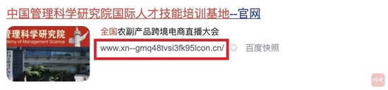 该网站网址域名中没有全国统一的政府网站域名后缀“gov.cn”或是国内非营利性组织的域名后缀“org.cn”。