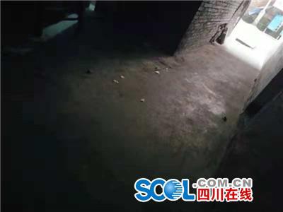 谢冬挨打的地方