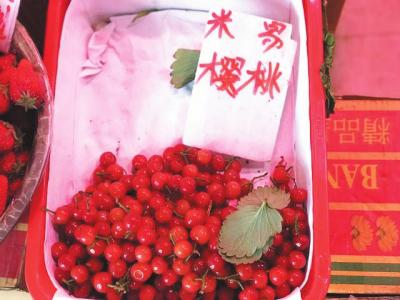 ■天府早报记者 胡潇潇 王小瑾 摄影报道