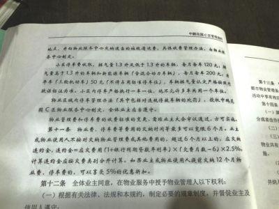 业委会工作人员向记者出示的管理规约显示,小区严格执行“一车一位”。