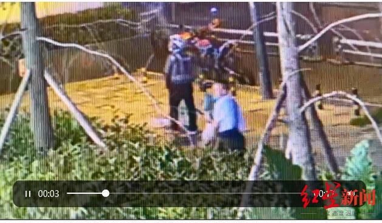 　▲监控视频显示，一名穿蓝色衬衣的男子抱走一头小猪。