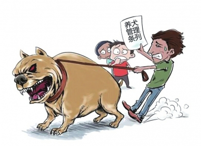 图据网络