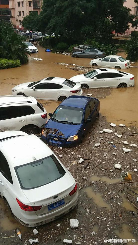 ���������⣬����ͼƬ��������