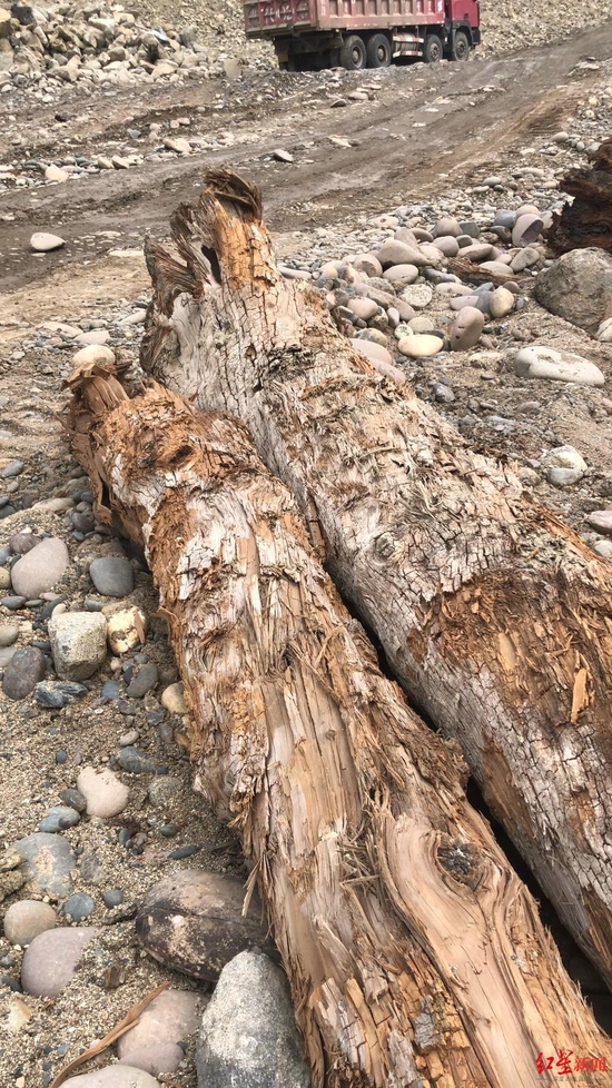 金沙江底的木头