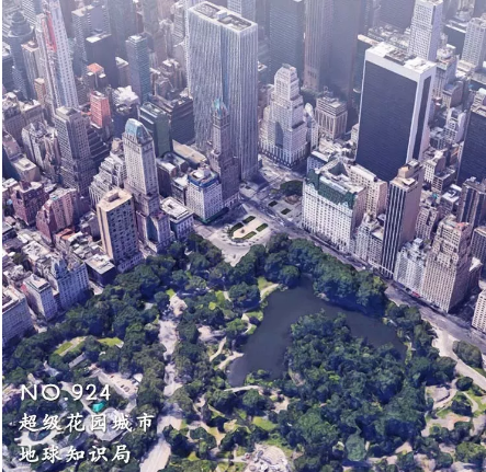 城市其实最缺什么?
