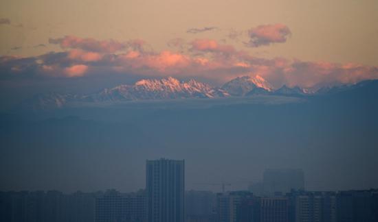 在成都遙望雪山。魏偉供圖