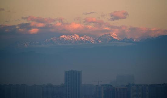 在成都遥望雪山。魏伟供图