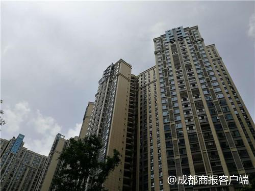 业主: