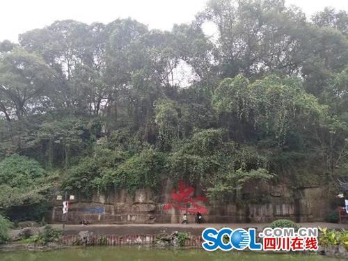 作为泸州市资历最老、人气最高的公园,江阳区忠山公园的保护一直都在进行。