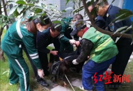 ↑事发现场(资料图)。