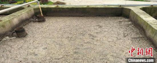 自贡仙市镇污水处理厂生化池活性污泥发黑，几乎丧失活性。　四川省生态环境厅供图