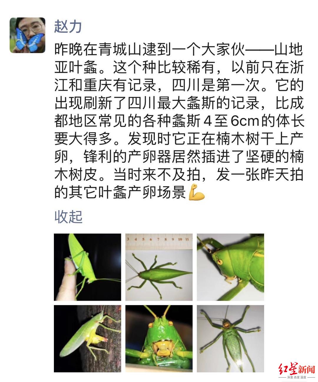 赵力发的朋友圈