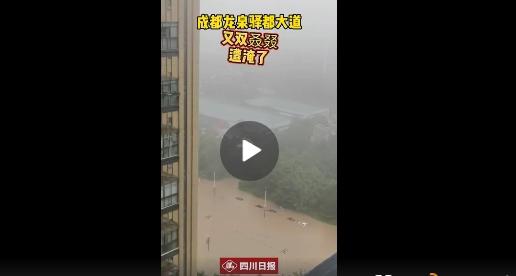 四川日報抖音截圖