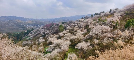 烏梅山景區美景