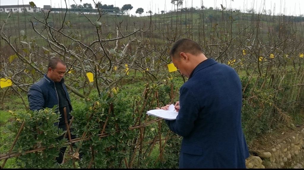 彭州市有多少人口(2)