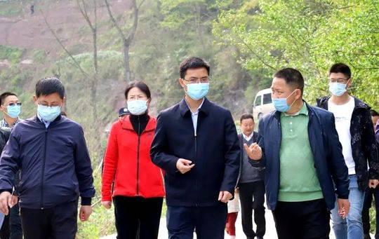 覃永利深入双龙镇调研