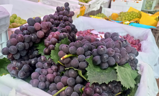 夏季甜蜜的葡萄大量上市。