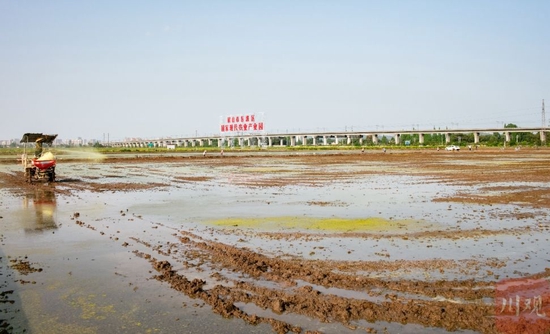 今年5月，都江堰灌区位于眉山市东坡区一处农业园区的春灌景象。
