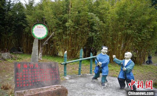 　青神竹林湿地公园一角。　刘忠俊 摄