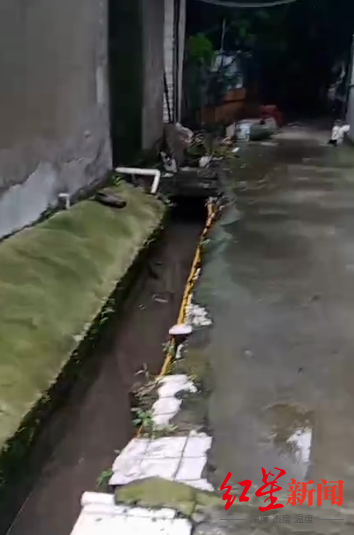 ↑鹵菜店附近的水渠 視頻截圖