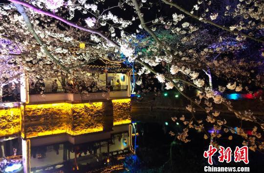 兰亭楼阁与夜樱“相得益彰”