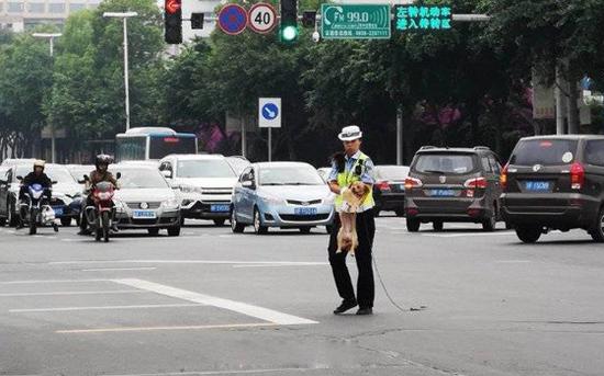 图据网络