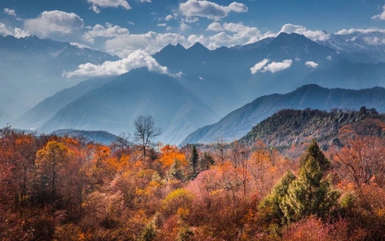 王岗坪景区秋色（图据王岗坪景区）