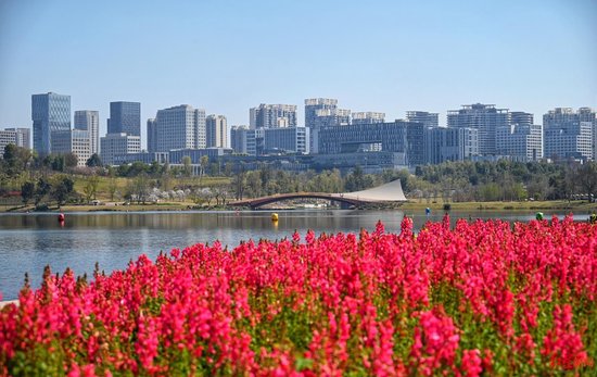 ▲沿兴隆湖很多科创企业和研究院落户在此 王效 摄