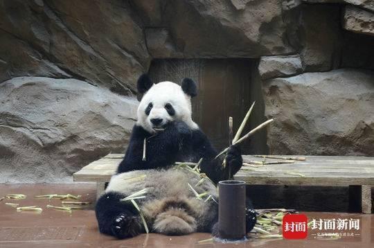 资料图片