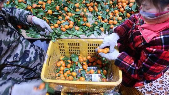 彭州蒙阳市场水果销售水分重 执法部门立案调