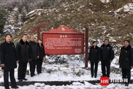 起诉砍伐林木案 检察机关建议补栽补种恢复生态