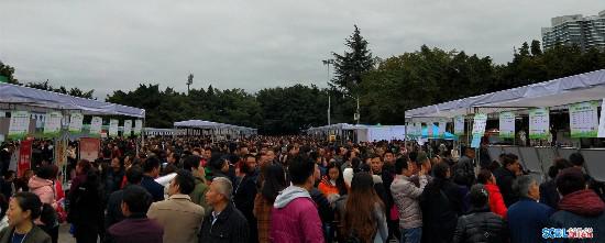 德阳举行6场专场招聘会 提供岗位3.1万余个