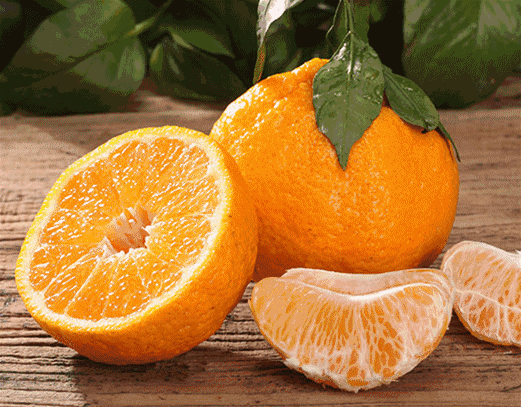 怎么挑选好吃的春见耙耙柑 8a88-keyancx6252685.gif