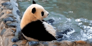 圆滚滚的身体